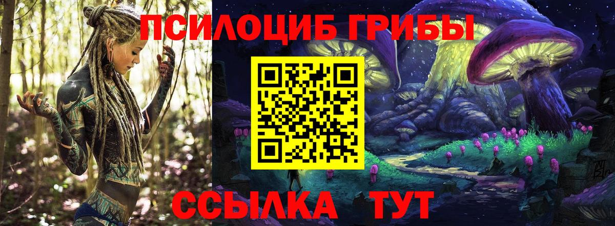 Москва  Галлюциногенные грибы GOLDEN TEACHER  Вход с VPN 